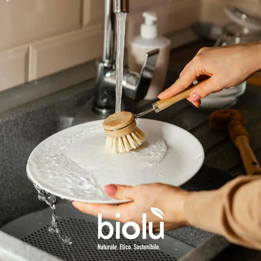 Biolù Aloe Detersivo Piatti 1 L Sgrassante