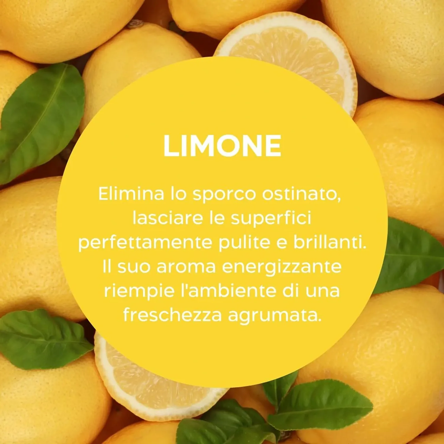 Biolù Eco Tabs detersivo pavimenti 20 tabs eucalipto limone