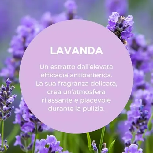 Biolù Eco Tabs anticalcare spray 6 tabs lavanda bergamotto