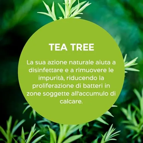 Biolù Eco Tabs Anticalcare Lavatrice 20 tabs tea tree