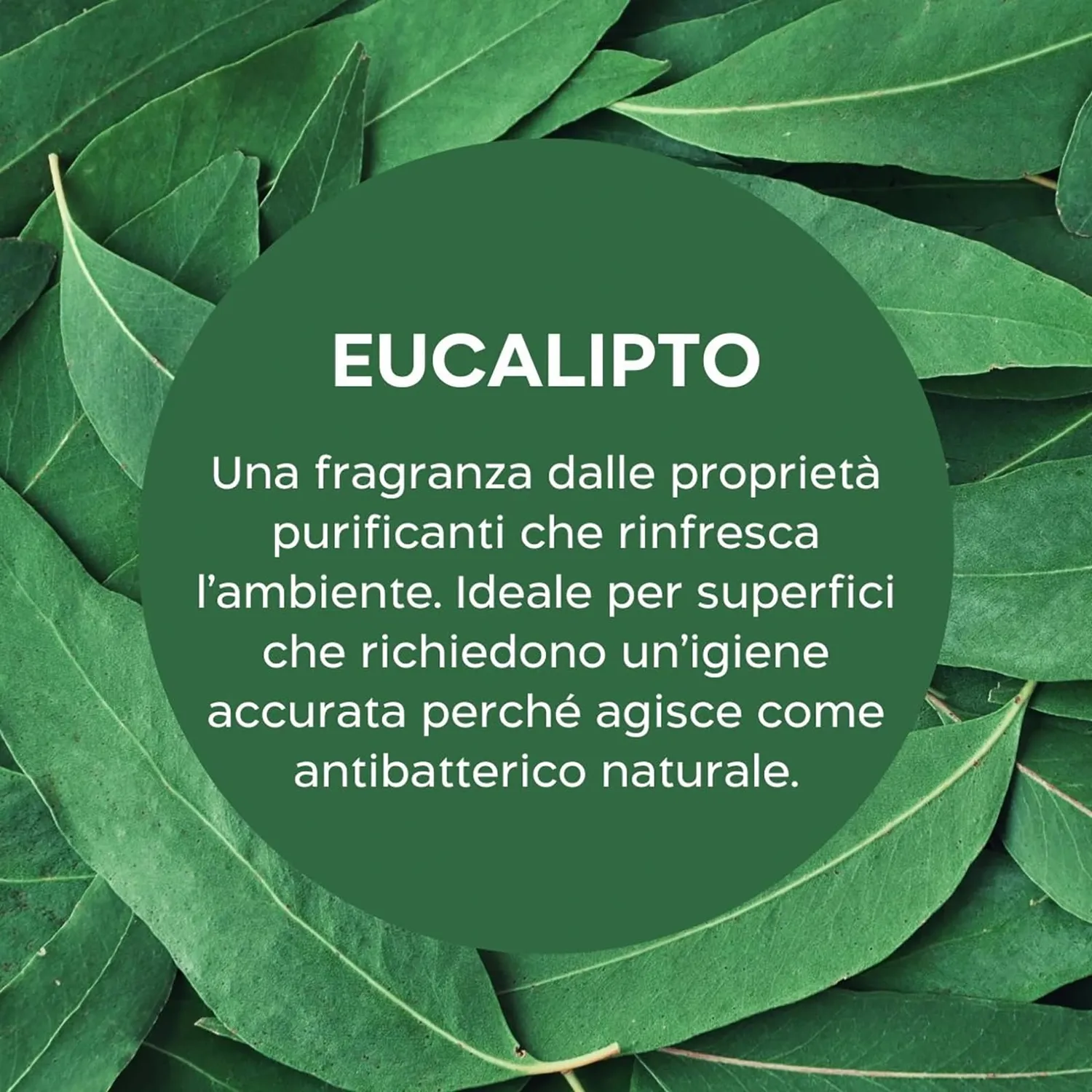 Biolù Eco Tabs detersivo pavimenti 20 tabs eucalipto limone