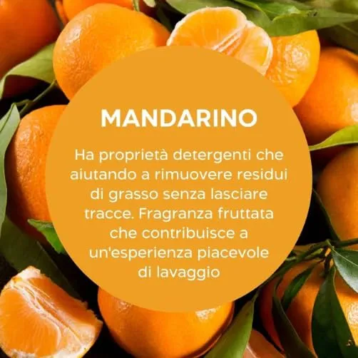 Biolù Eco Tabs detersivo lavastoviglie 32 tabs limone mandarino