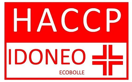 Ecobolle Verde Professionale detersivo piatti 5 kg limone concentrato