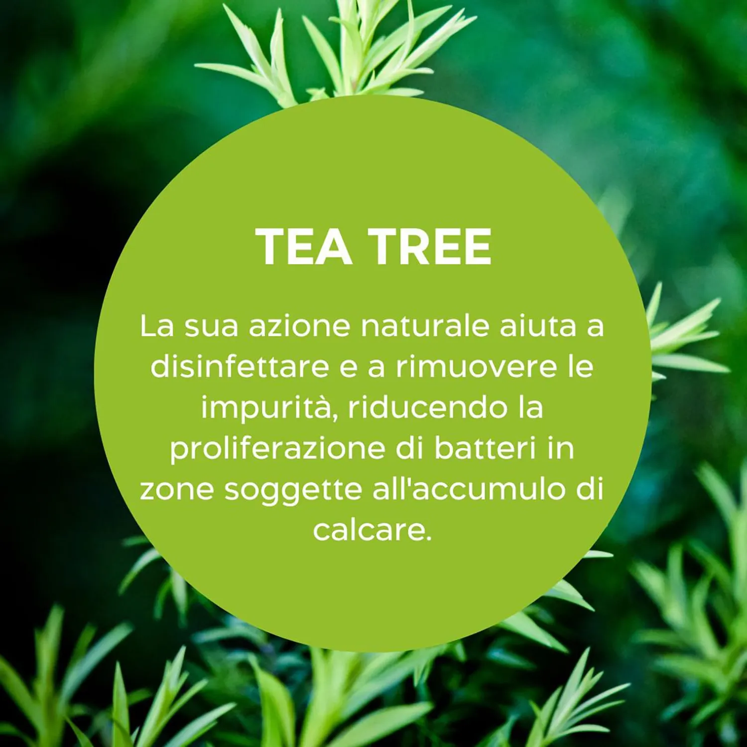 Biolù Eco Tabs Anticalcare Lavatrice 20 tabs tea tree