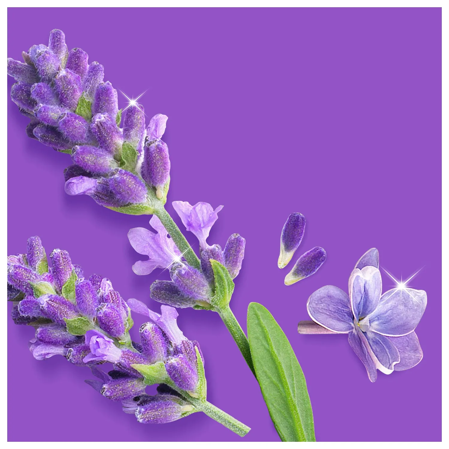 Mastro Lindo Lavanda detersivo pavimenti liquido 12x930 ml