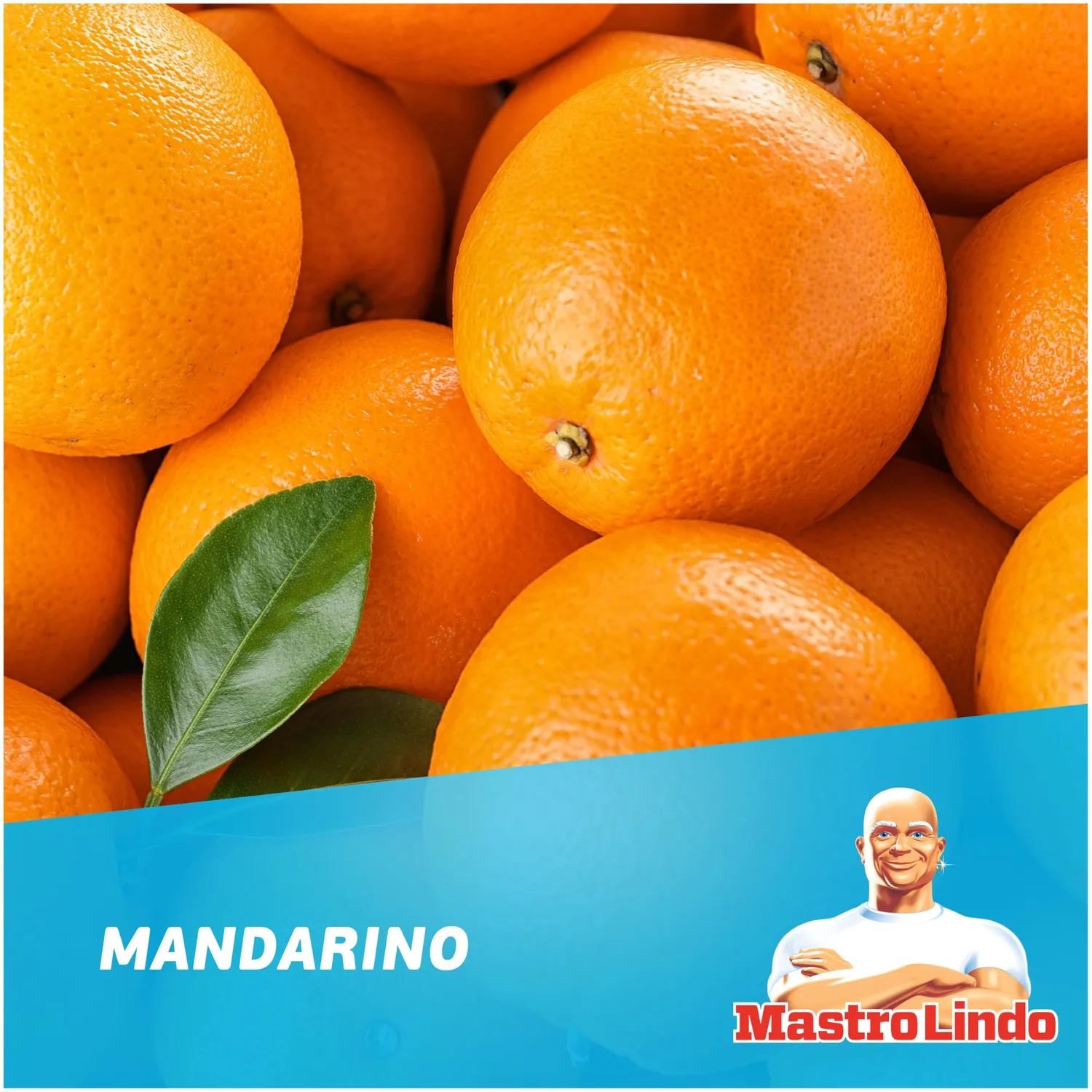 Mastro Lindo Multiuso sgrassatore mandarino 10x800ml