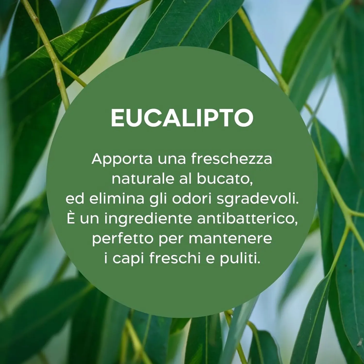 Biolù Eco Tabs Bucato 32 Tabs lavanda eucalipto
