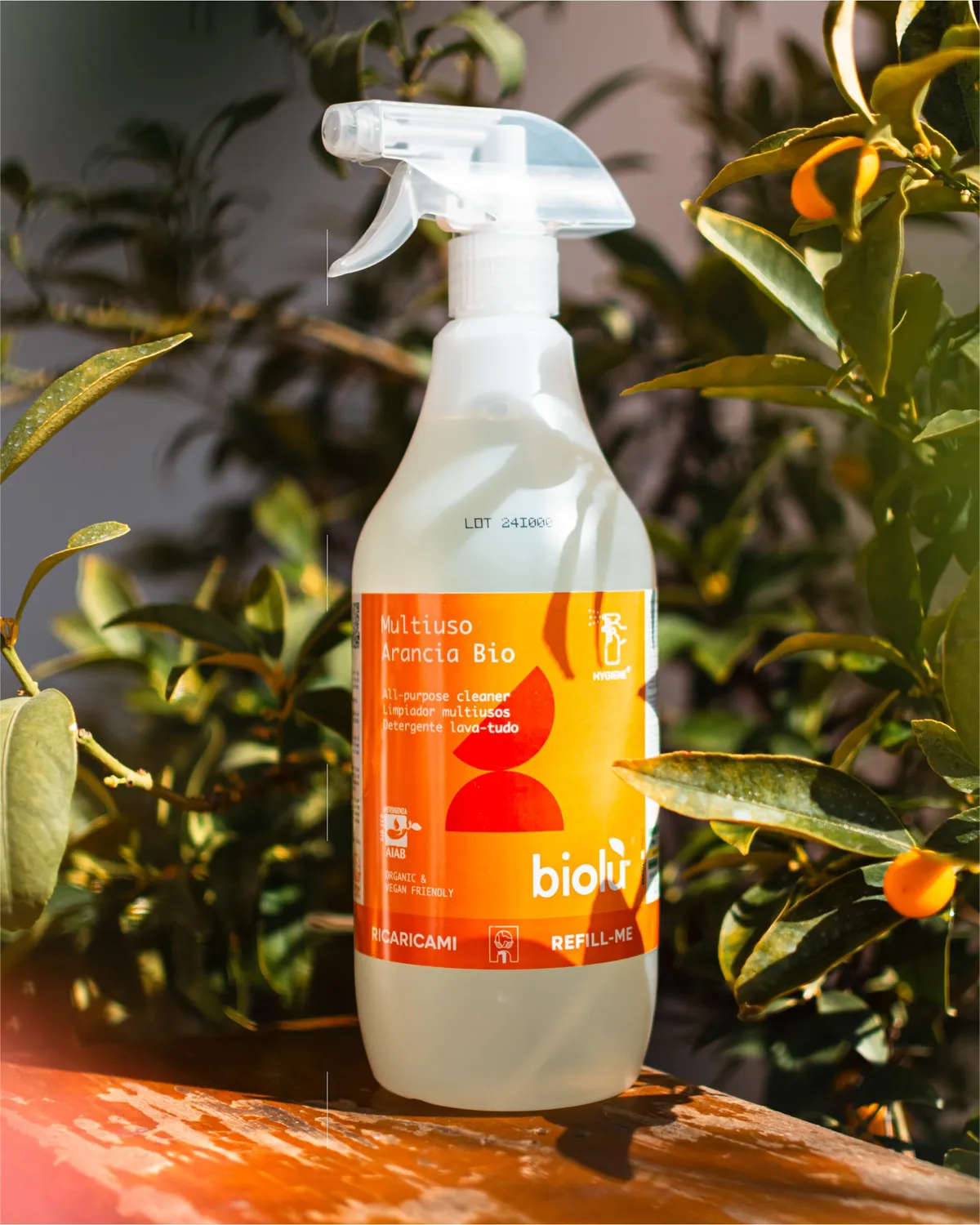 Biolù Casa Sgrassatore Multiuso 1L arancio dolce
