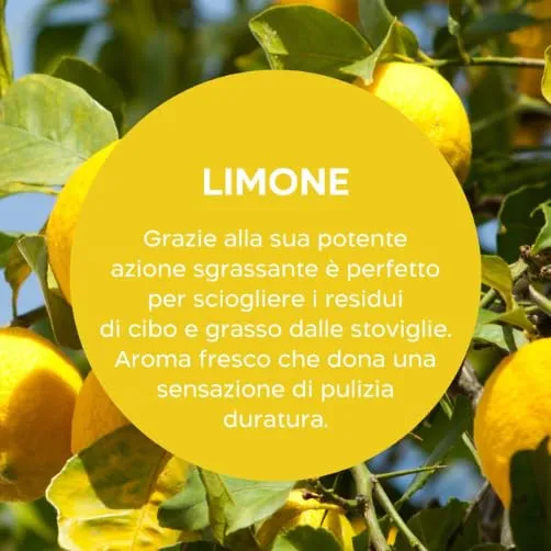 Biolù Eco Tabs detersivo lavastoviglie 32 tabs limone mandarino