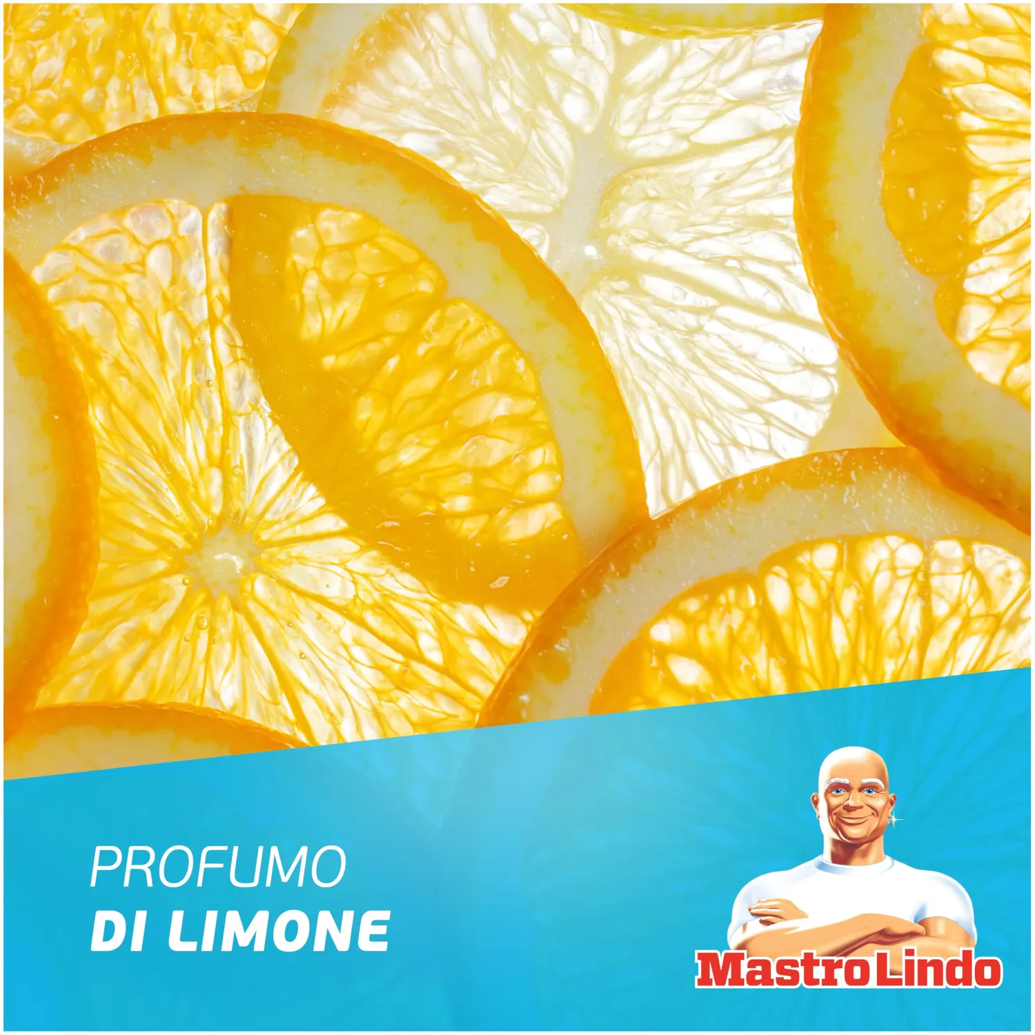 Mastro Lindo Limone detersivo pavimenti 12x930 ml