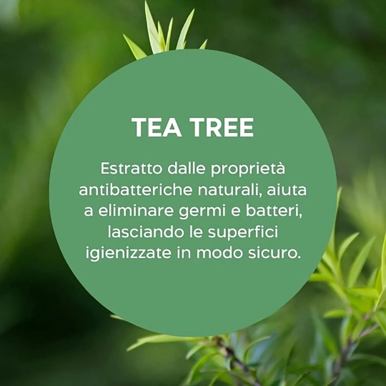 Biolù Eco Tabs Multiuso 4 Tabs arancia tea tree