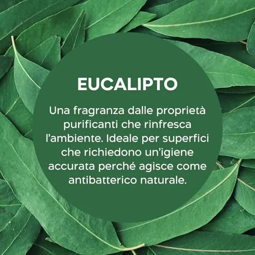 Biolù Eco Tabs detersivo pavimenti 20 tabs eucalipto limone