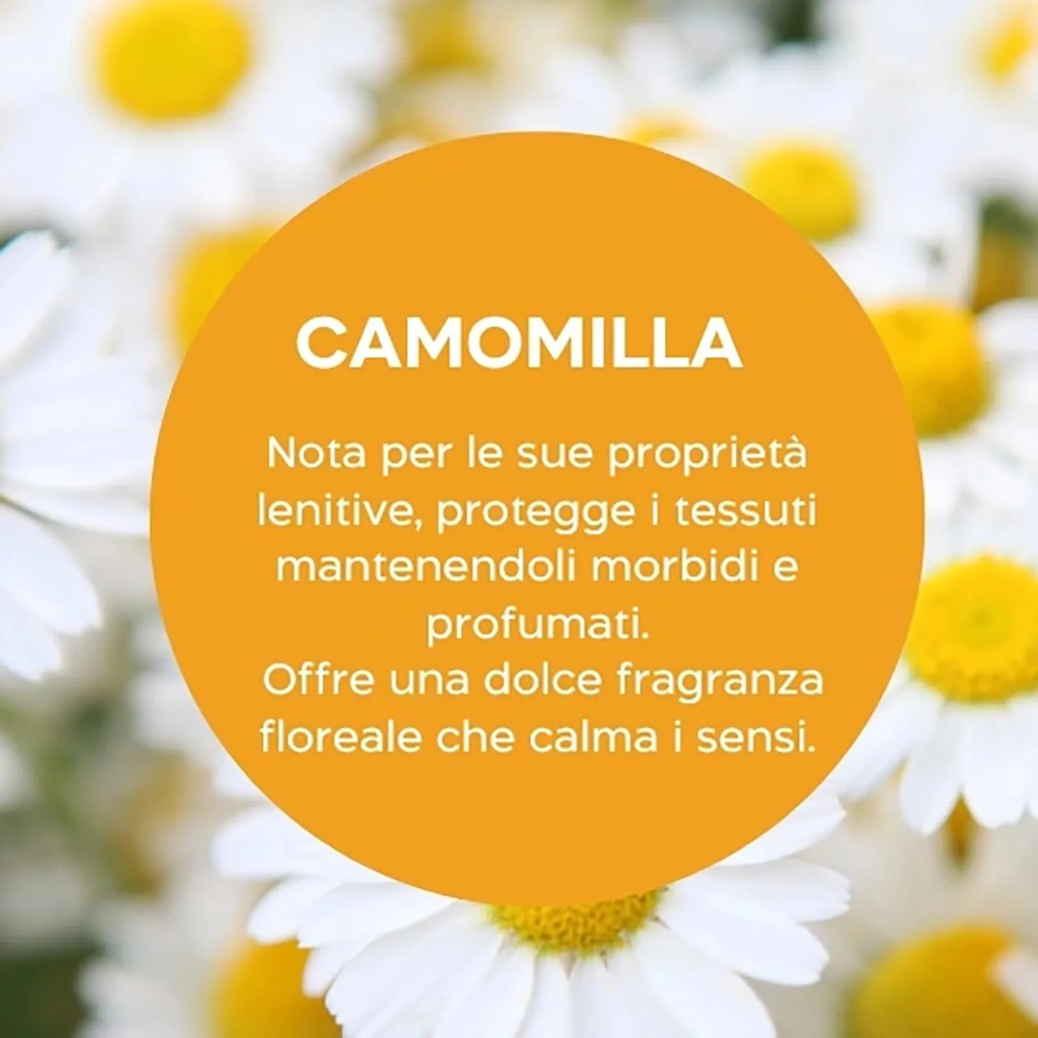 Biolù Eco Tabs delicati bucato 16 tabs camomilla