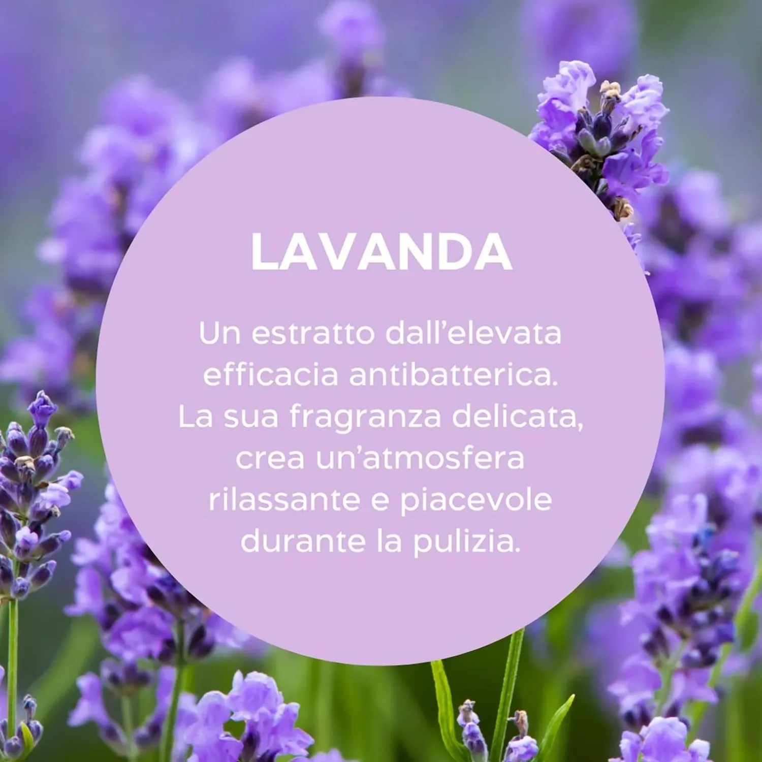 Biolù Eco Tabs anticalcare spray 6 tabs lavanda bergamotto