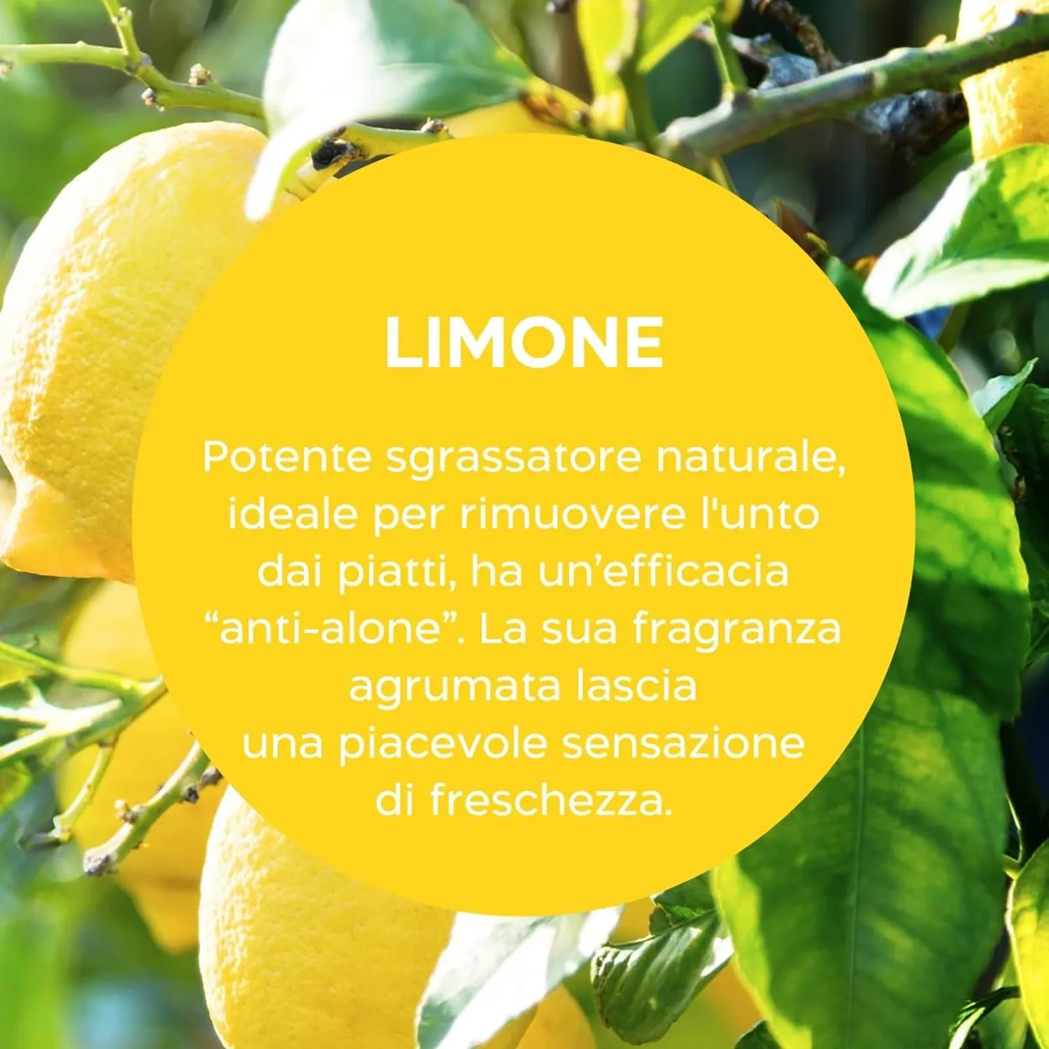 Biolù Eco Tabs detersivo piatti spray 6 tabs limone bergamotto