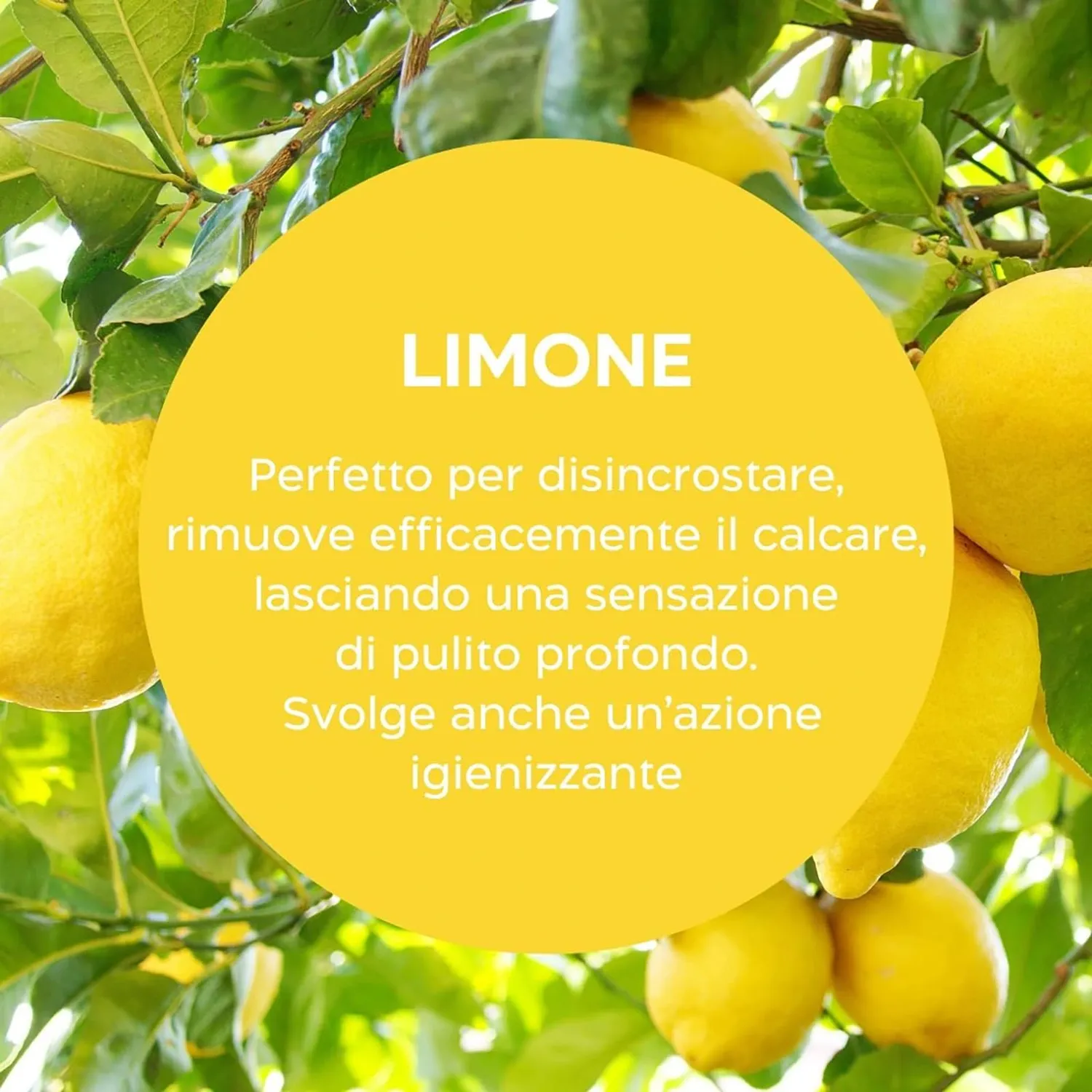 Biolù Eco Tabs detergente wc menta limone 20 tabs plastic-free