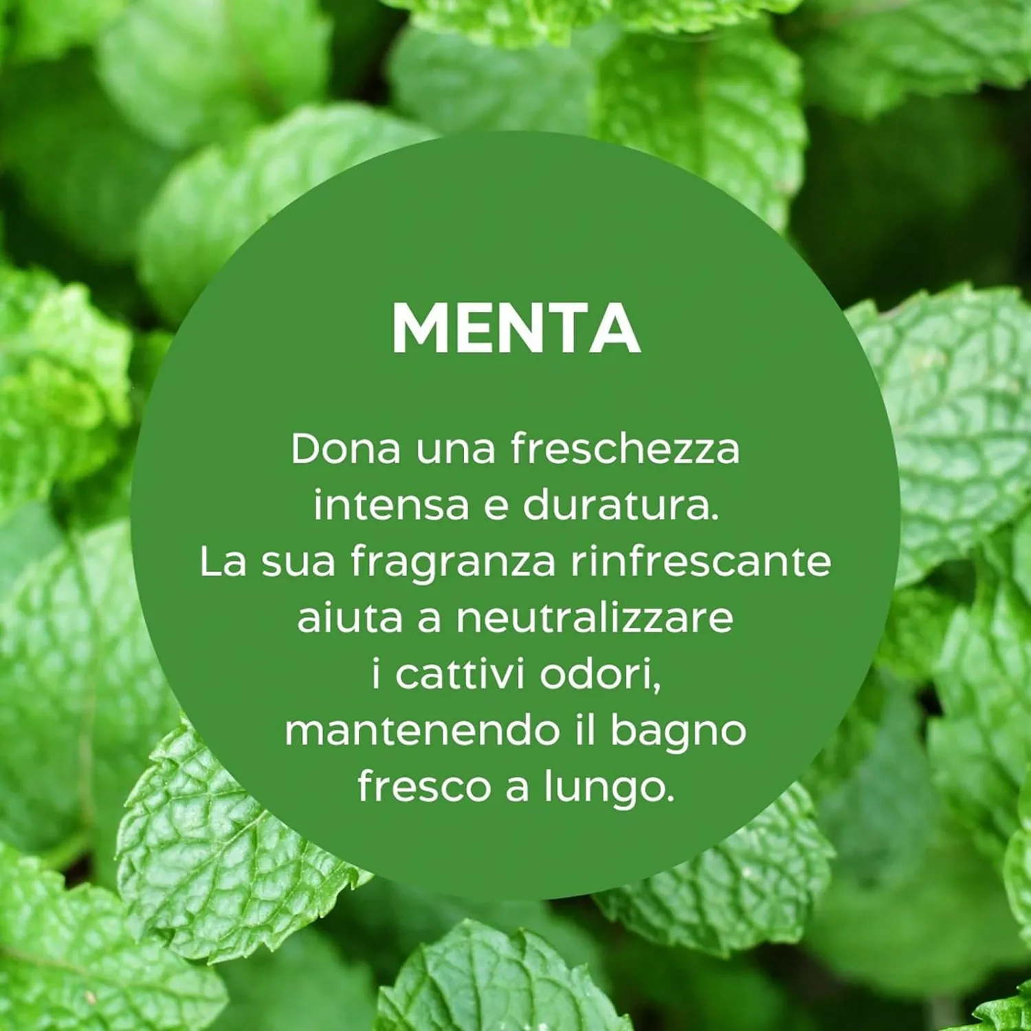 Biolù Eco Tabs detergente wc menta limone 20 tabs plastic-free