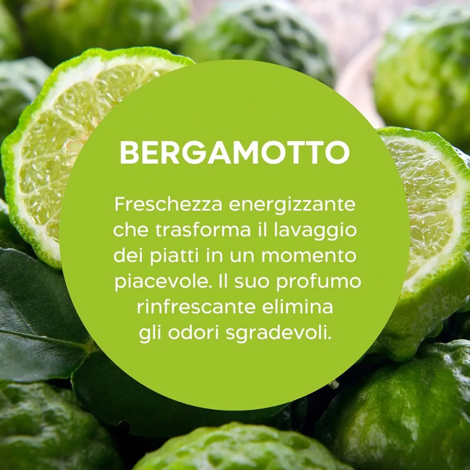 Biolù Eco Tabs detersivo piatti spray 6 tabs limone bergamotto