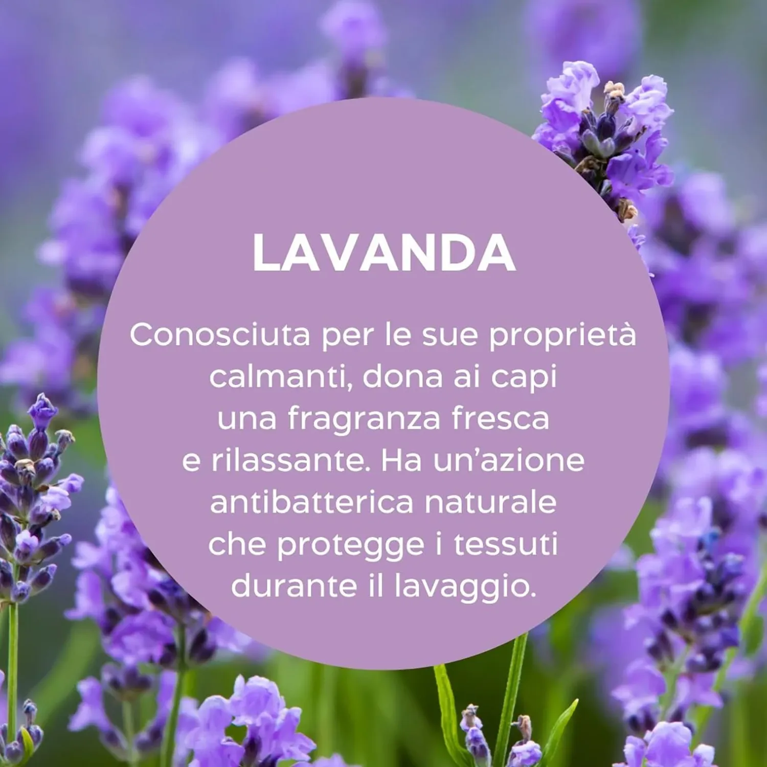 Biolù Eco Tabs Bucato 32 Tabs lavanda eucalipto