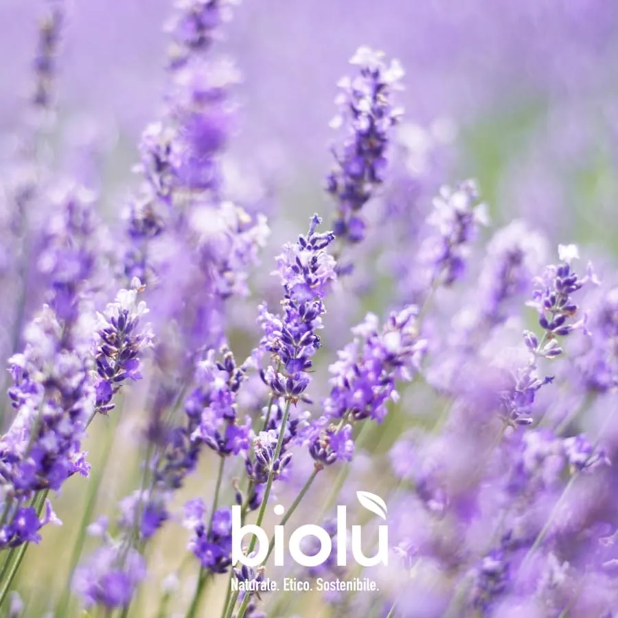 Biolù Mani Viso Corpo Detergente Lavanda 250ml Idratante