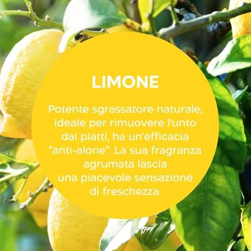 Biolù Eco Tabs detersivo piatti spray 6 tabs limone bergamotto